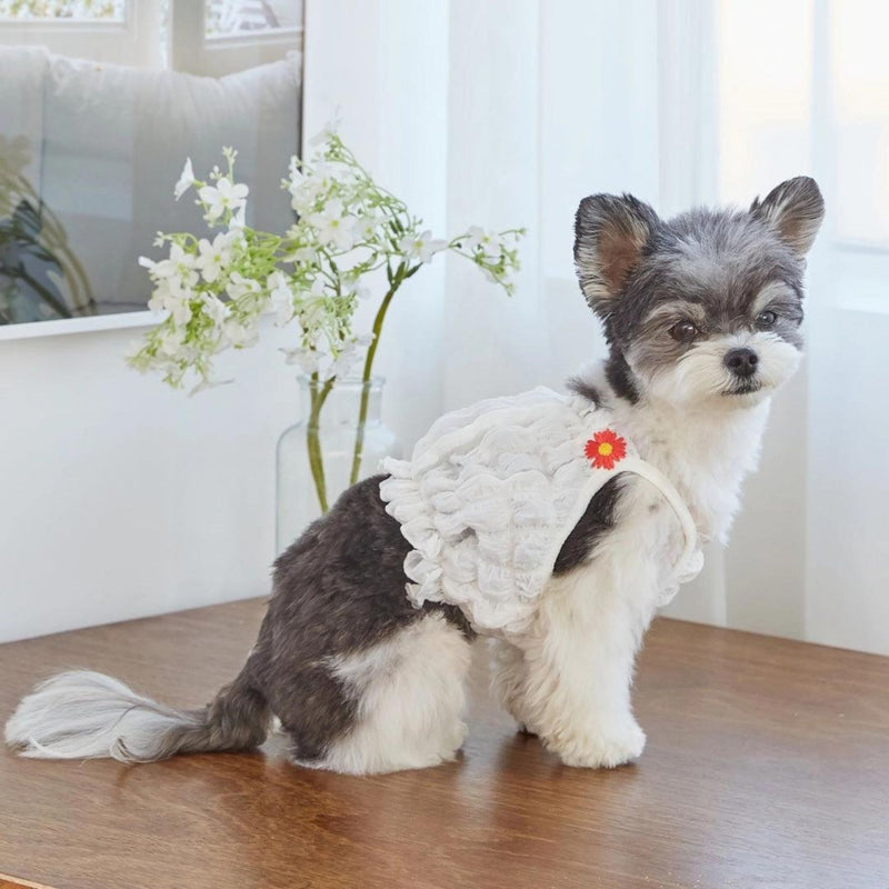 NEW ARRIVAL Daisy Scrunch Bubble Tank Top For Pets