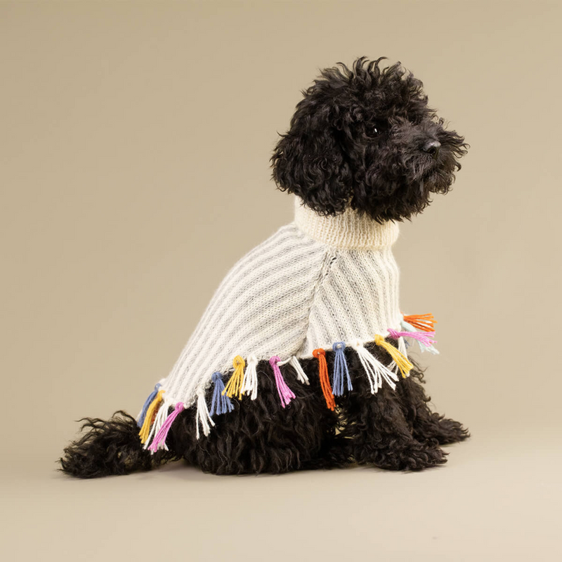 Rainbow Tassel Sweater Poncho For Dogs