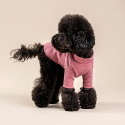 Pinky Mauve Organic Cotton Dog Mock Turtleneck Shirt