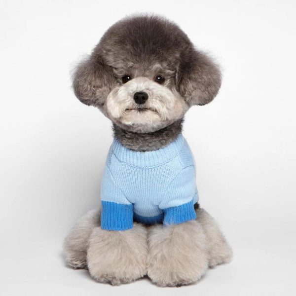 Blue Color Block Knit Dog Sweater