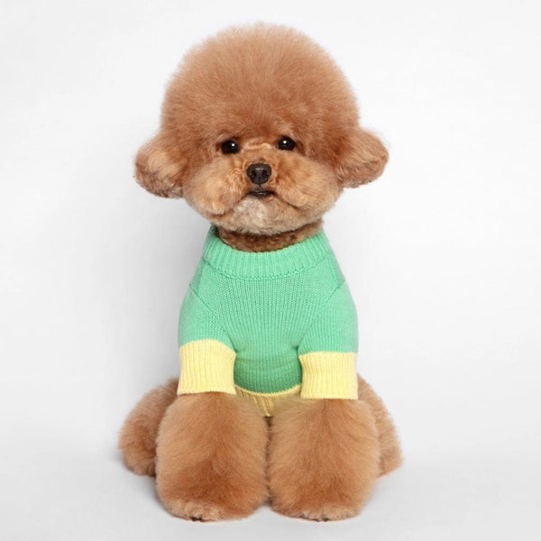 Green Color Block Knit Dog Sweater