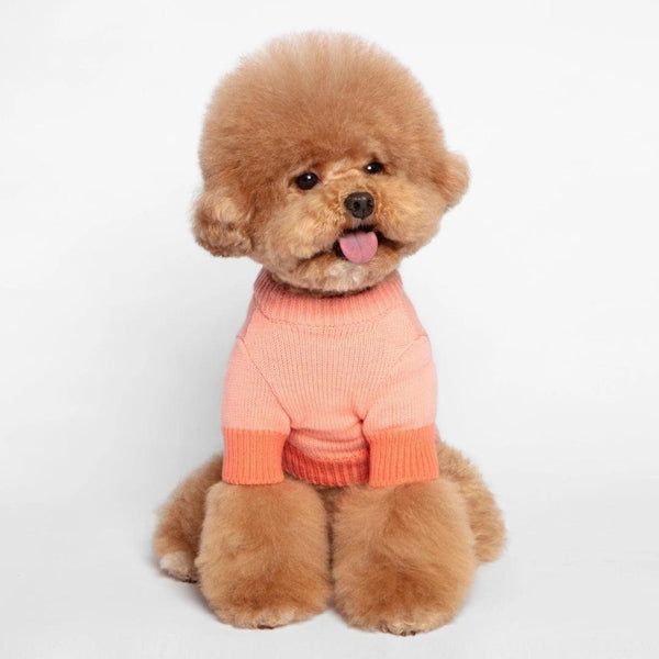 Pink Coral Color Block Knit Sweater For Dogs