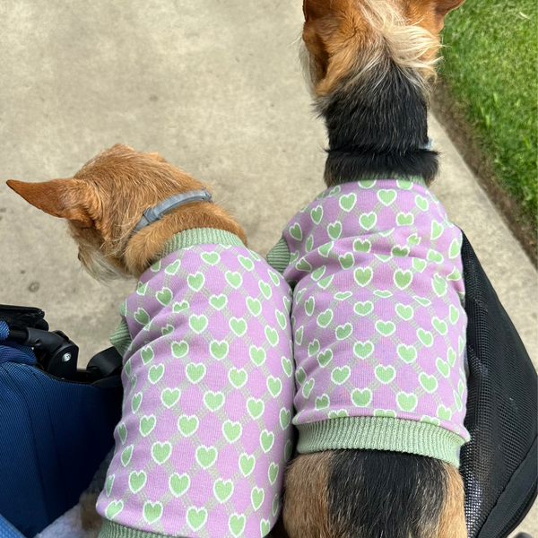 Certified Lover Purple Dog Vest