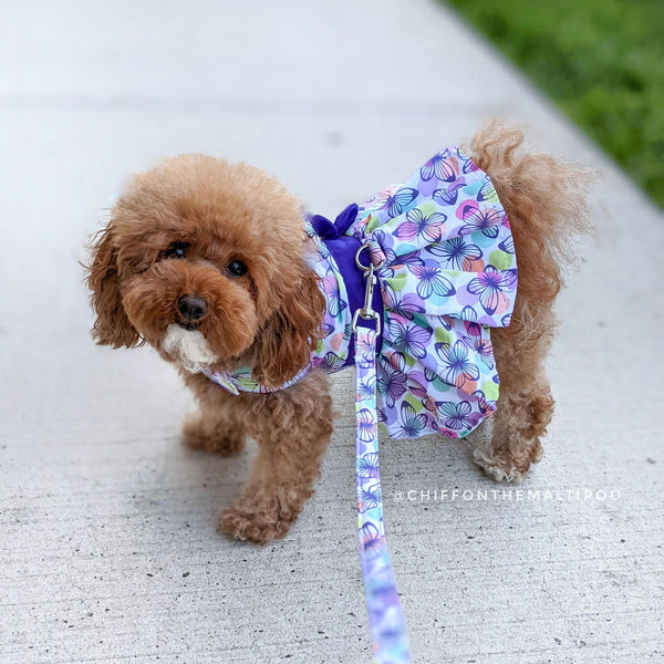 Purple Butterfly Doggie Dress With Matching Leash