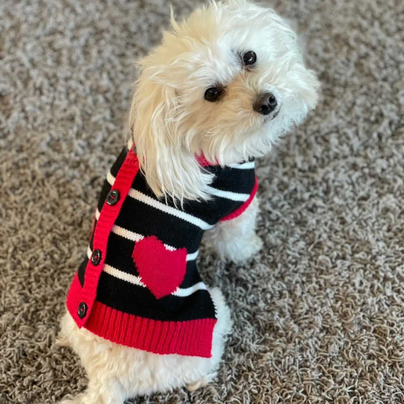 Hearts Cardigan For Dogs