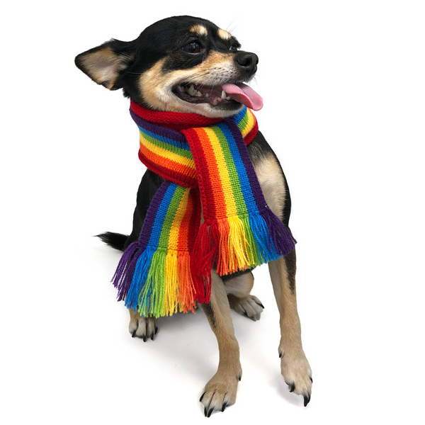 Doggie Rainbow Winter Wrap Around Scarf