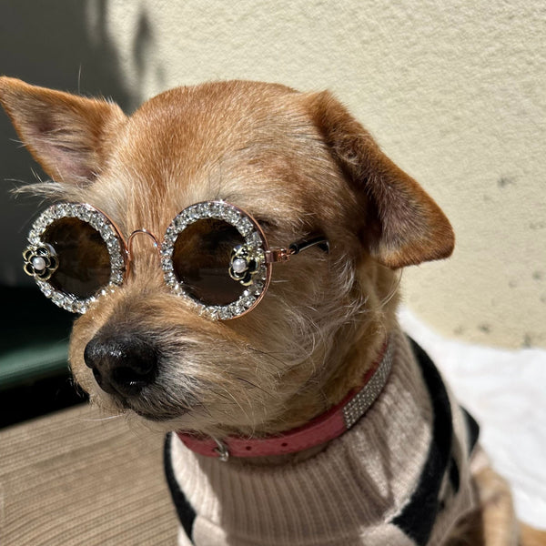 Rich Dog Diva Round Sunglasses with Rhinestones - JUST RELEASED!