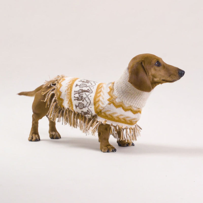(New) Llama Natural Alpaca  Sweater Dog Poncho