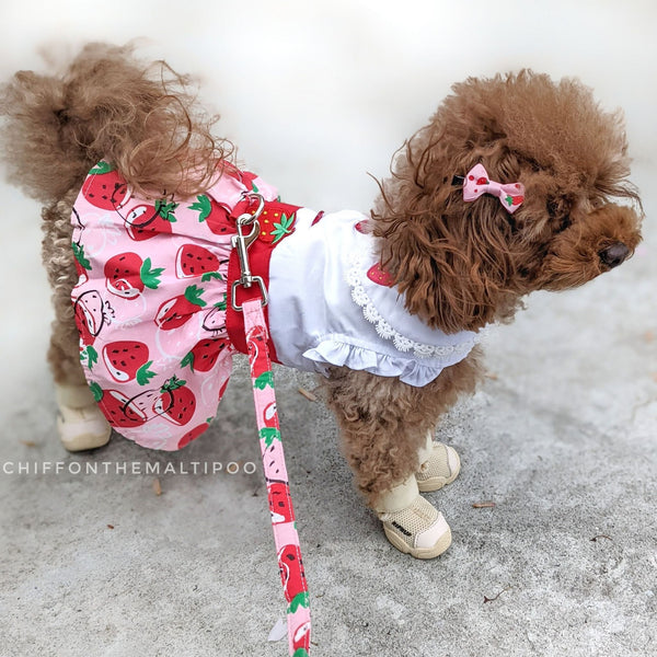 Strawberry Picnic Doggie Dress With Matching Leash