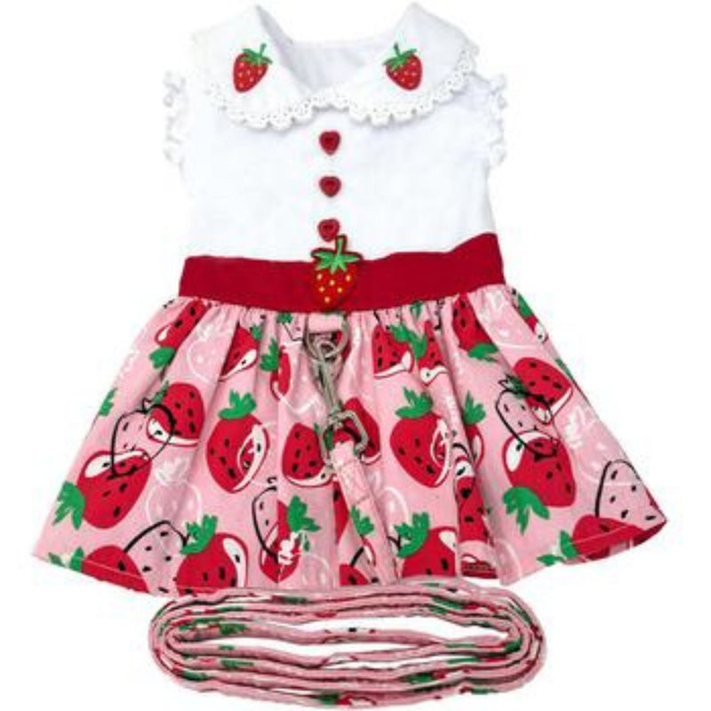 Strawberry Picnic Doggie Dress With Matching Leash