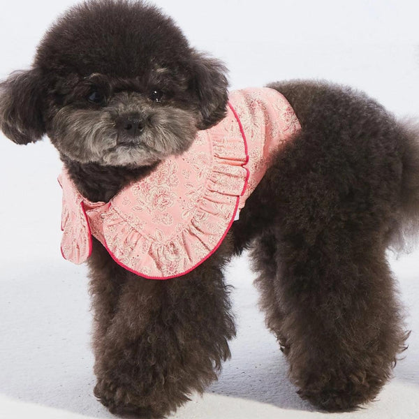 Walk Through The Garden Collared Top Pink For Pets