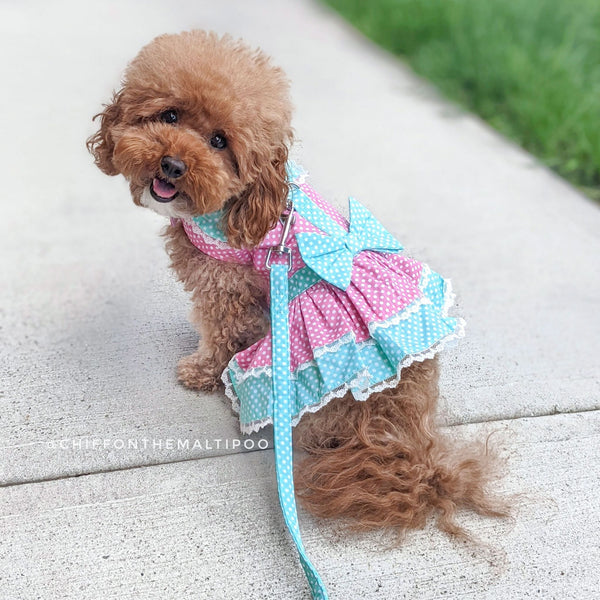 Pink & Teal Polka Dot With Lace Dog Harness Dress With Matching Leash